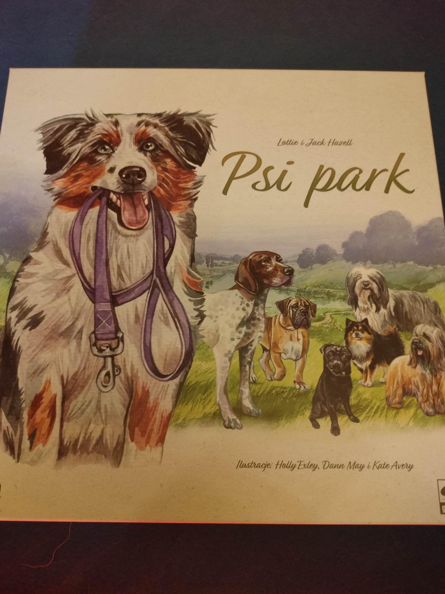PSI PARK - RECENZJA 346151405 1448864272609203 2162908965244363105 N