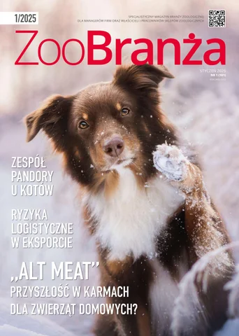 Czy Moge Poglaskac Pieska