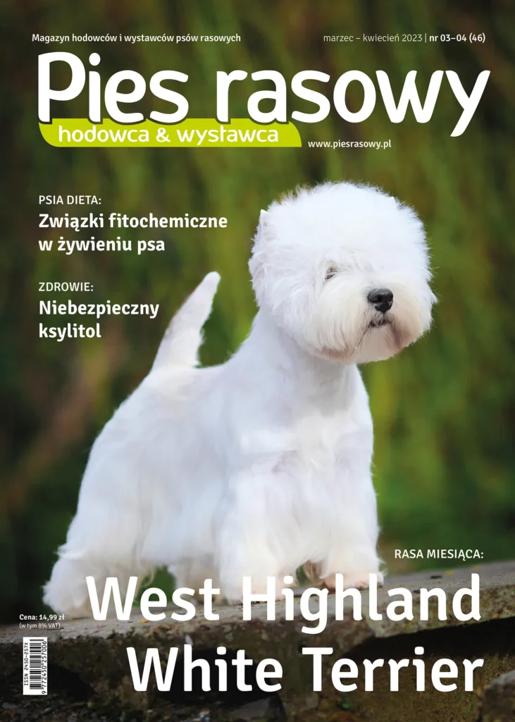 Dlaczego Ksylitol Jest Niebezpieczny Dla Psa 731x1024