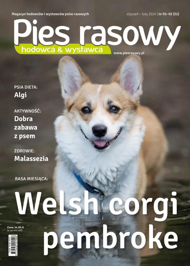 Jak Kastracja Wplywa Na Zachowanie Psow 731x1024