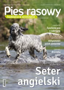 Jak wybrać petsittera