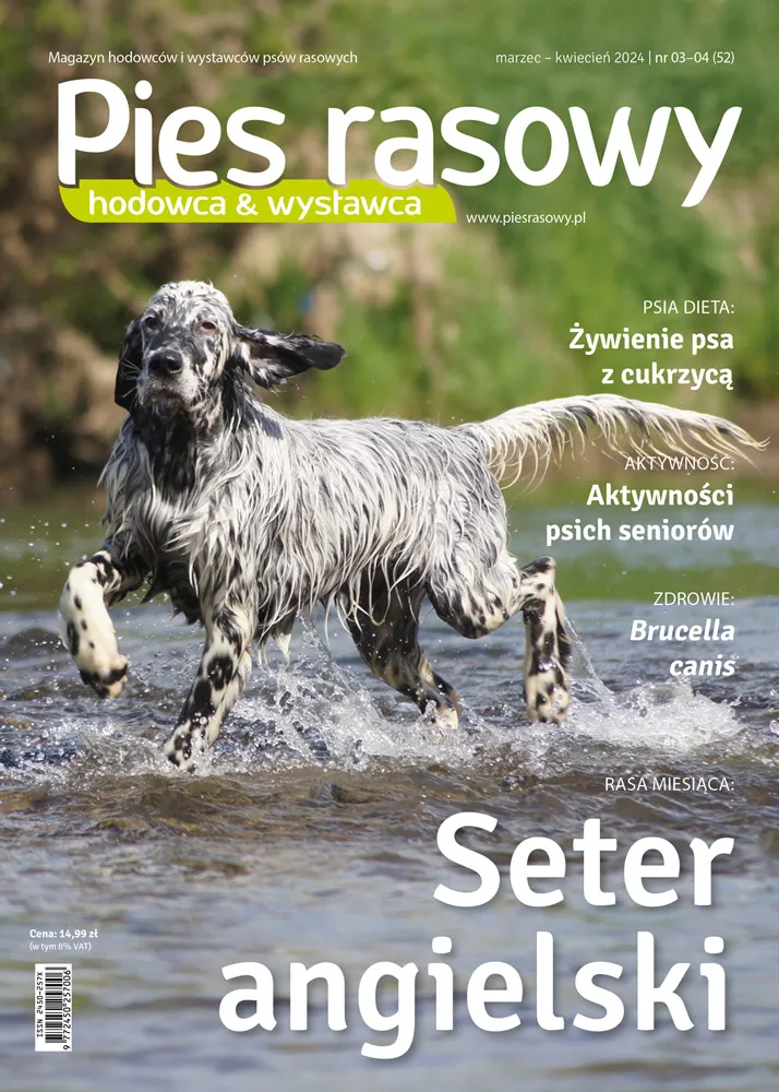 Jak Wybrac Petsittera