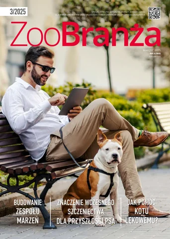 Najczestsze Bledy Popelniane Podczas Zabawy Z Psem