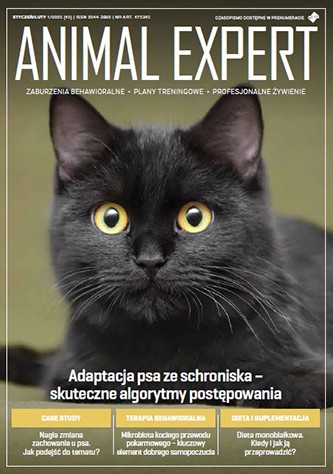Reaktywnosc U Psow – Jak Nad Nia Zapanowac