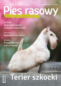 Wpływ feromonów na zachowanie psa