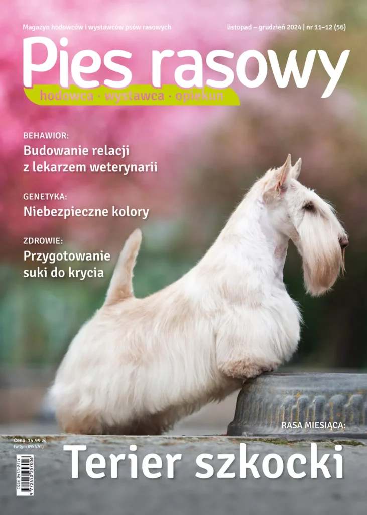 Wplyw Feromonow Na Zachowanie Psa 731x1024