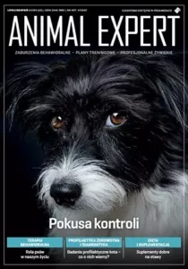 Zaburzenia behawioralne u psów schroniskowych