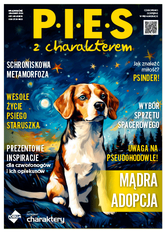 Zaburzenia behawioralne u psów schroniskowych