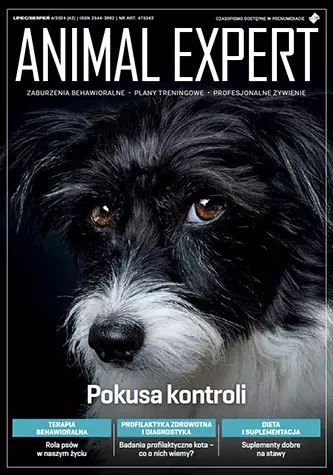Zaburzenia behawioralne u psów schroniskowych