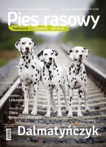 Zajęcia socjalizacyjne dla szczeniąt