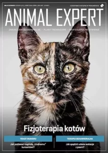 Znaczenie znakowania u psów