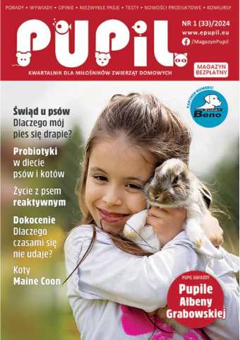 Zycie Z Psem Reaktywnym