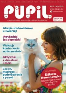 Zasady mądrego podróżowania z psami