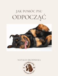 jak pomóc psu odpocząć