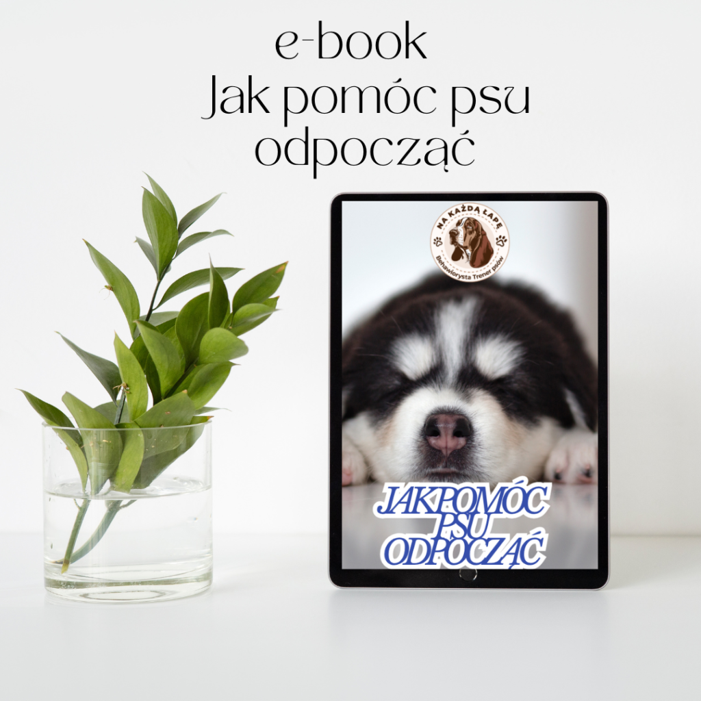 szczeniak czyli jak nie zwariować ebook