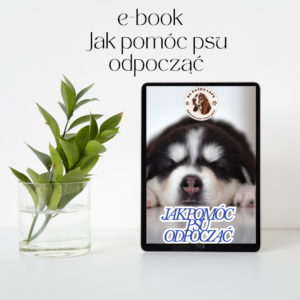 szczeniak czyli jak nie zwariować ebook