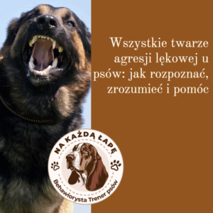 wszystkie twarze agresji lękowej u psów webinar