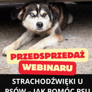 przedsprzedaŻ strachodźwięki u psów jak pomóc przestać bać się dźwięków webinar na Żywo 26.11.2025 r.
