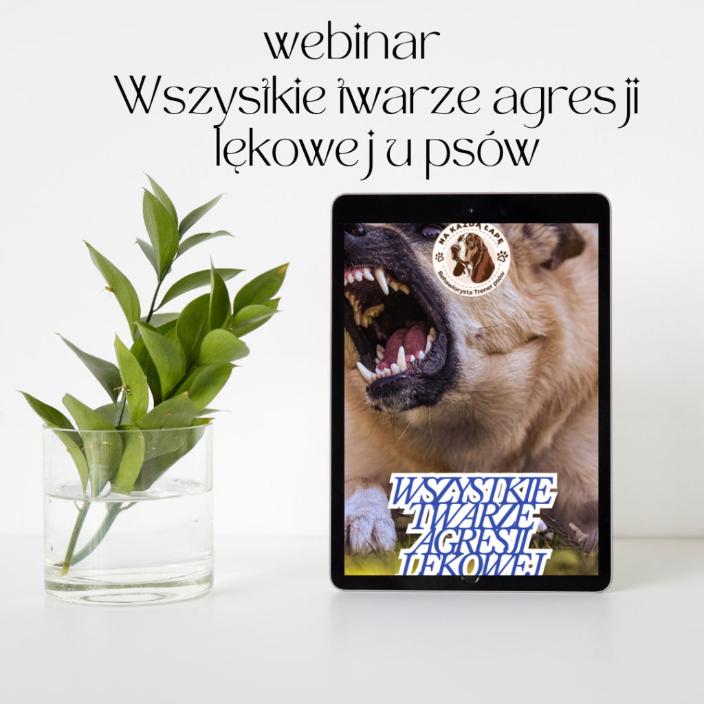 wszystkie twarze agresji lękowej u psów webinar