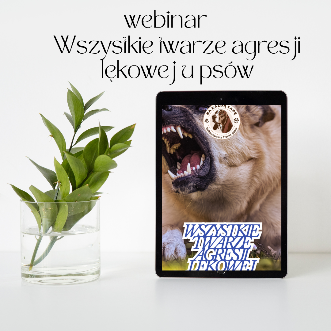 wszystkie twarze agresji lękowej u psów webinar wszystkie twarze agresji lękowej u psów webinar