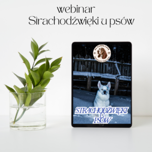 przedsprzedaŻ strachodźwięki u psów jak pomóc przestać bać się dźwięków webinar na Żywo 26.11.2025 r.