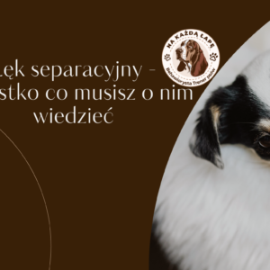 lęk separacyjny wszystko co musisz o nim wiedzieć dostĘp do webinaru na Żywo