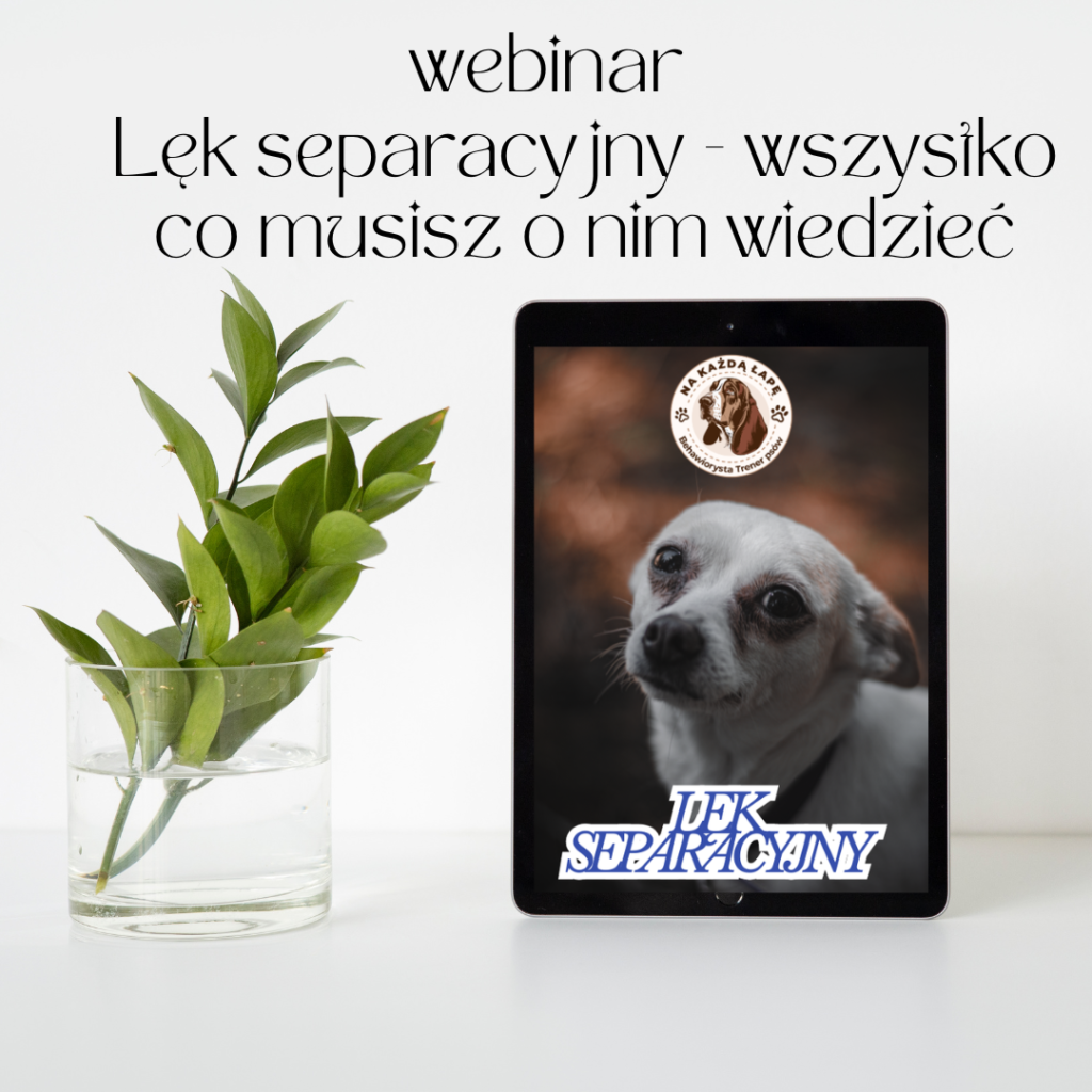 lęk separacyjny wszystko co musisz o nim wiedzieć dostĘp do webinaru na Żywo 24.01.2026