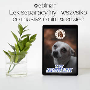 lęk separacyjny wszystko co musisz o nim wiedzieć dostĘp do webinaru na Żywo 24.01.2026