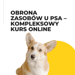 obrona zasobów u psa – kompleksowy kurs online