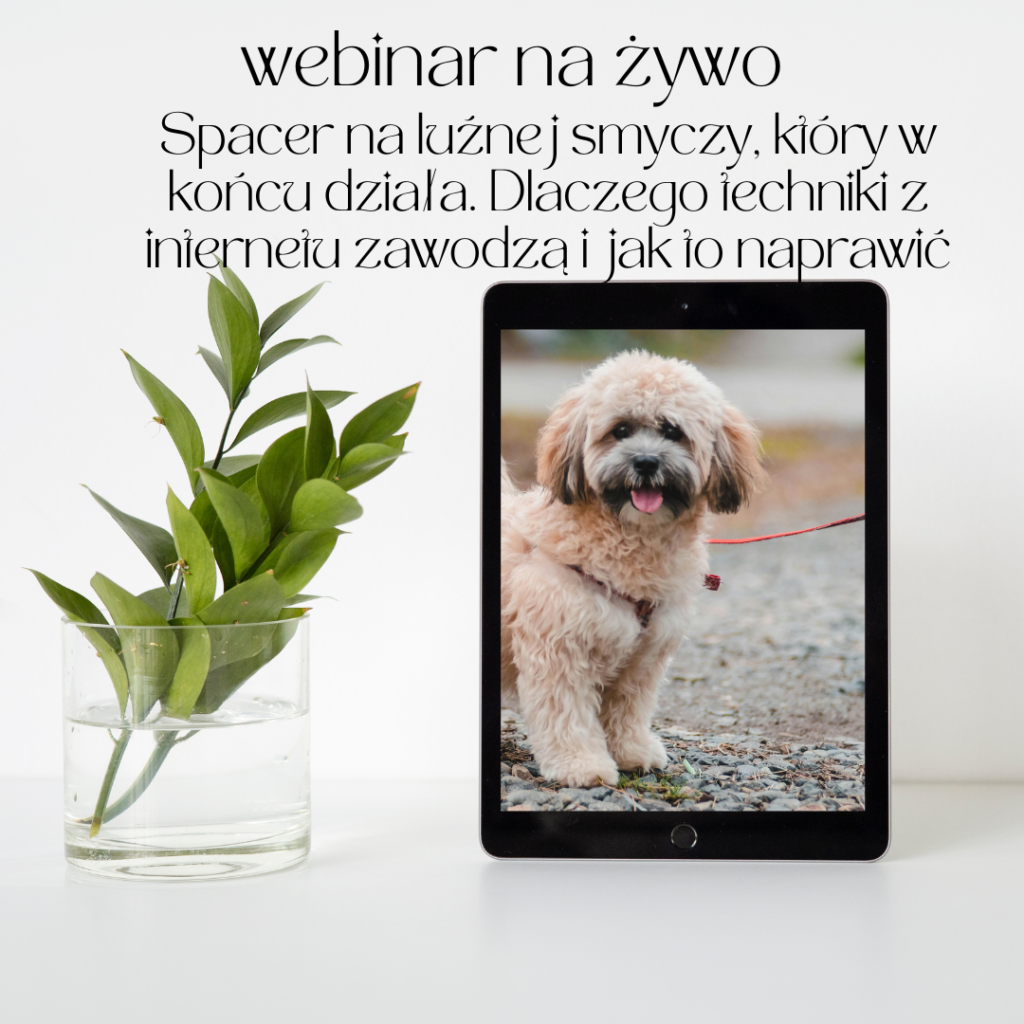 webinar: spacer na luźnej smyczy, który w końcu działa. dlaczego techniki z internetu zawodzą i jak to naprawić.