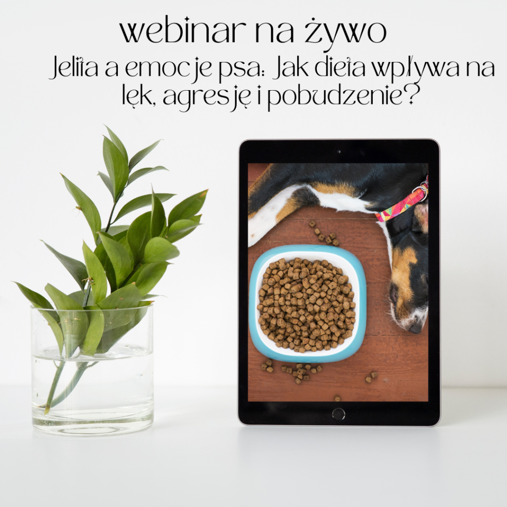 [WEBINAR] Jelita a emocje psa: Jak dieta wpływa na lęk, agresję i pobudzenie?