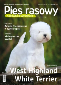 "Dlaczego ksylitol jest niebezpieczny dla psa"