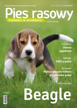 "Wykorzystanie klikera w szkoleniu psów"