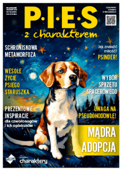 "Zaburzenia behawioralne u psów schroniskowych"