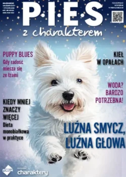 "Roślinna miska"
