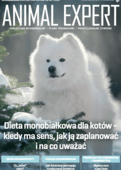 "Znaczenie pierwszych tygodni życia psa"